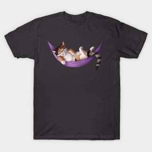 Cat sleeping on a hammock T-Shirt